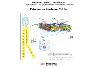 BIOLOGIA - VOLUME 1 - DAS CÉLULAS Origem da vida, Citologia, Histologia e Embriologia - 2ª edição Estrutura da Membrana Celular 
