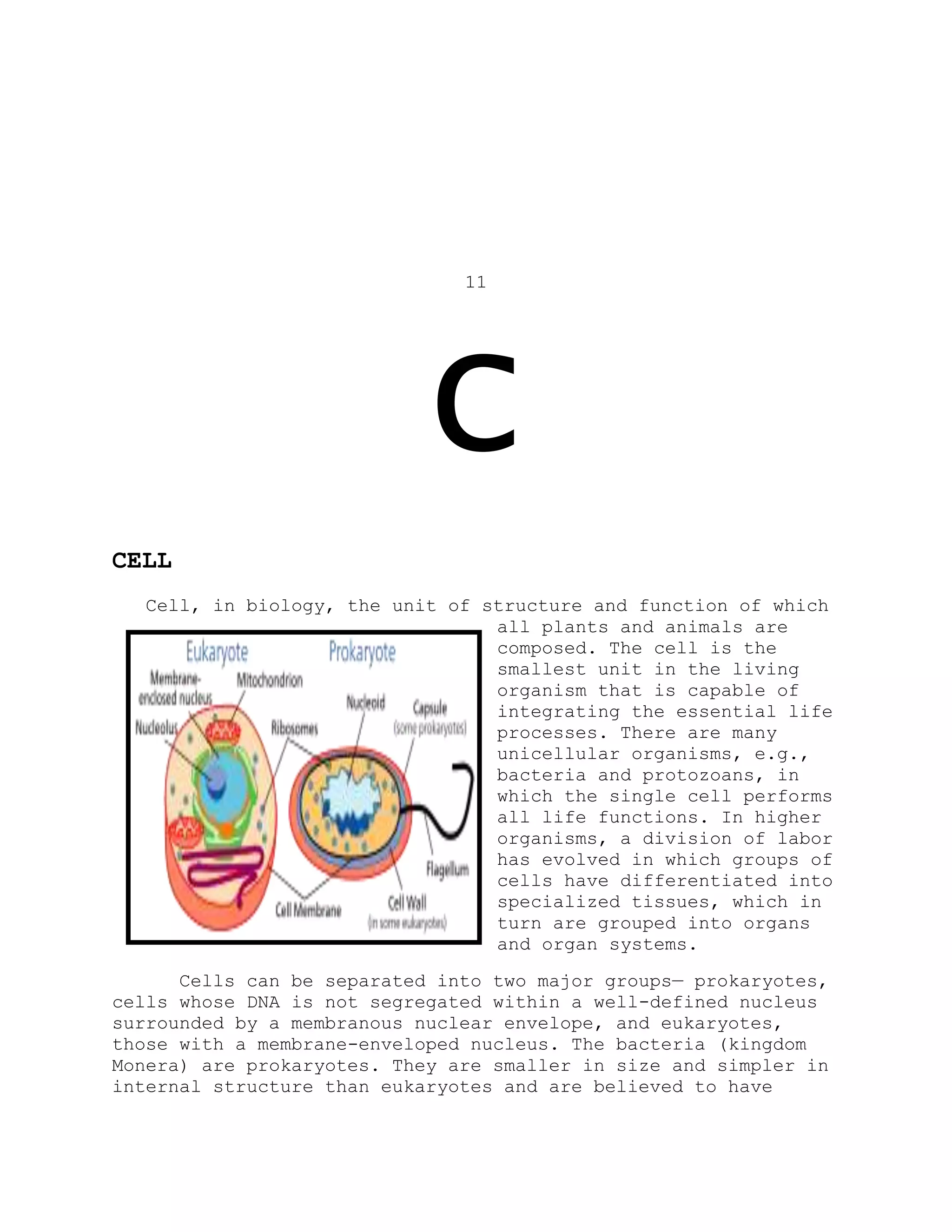 11
C
CELL
Cell, in biology, the unit of structure and function of which
all plants and animals are
composed. The cell is the
smallest unit in the living
organism that is capable of
integrating the essential life
processes. There are many
unicellular organisms, e.g.,
bacteria and protozoans, in
which the single cell performs
all life functions. In higher
organisms, a division of labor
has evolved in which groups of
cells have differentiated into
specialized tissues, which in
turn are grouped into organs
and organ systems.
Cells can be separated into two major groups— prokaryotes,
cells whose DNA is not segregated within a well-defined nucleus
surrounded by a membranous nuclear envelope, and eukaryotes,
those with a membrane-enveloped nucleus. The bacteria (kingdom
Monera) are prokaryotes. They are smaller in size and simpler in
internal structure than eukaryotes and are believed to have
 