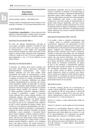Farmacopeia Brasileira, 5ª edição
b
676
BAUNILHA
Vanillae fructus
Vanilla planifolia Andrews – ORCHIDACEAE
A droga vegetal é constituída pelos frutos imaturos e secos
contendo, no mínimo, 12% de extrato hidroalcoólico seco.
CARACTERÍSTICAS
Características organolépticas. A droga apresenta odor
agradável e ﬂoral que lembra a vanilina o qual, no entanto,
é bem mais sutil e encorpado que a substância isolada.
DESCRIÇÃO MACROSCÓPICA
Os frutos são cápsulas plurispérmicas, derivadas de
ovário súpero, tricarpelar, unilocular. O formato do fruto
em secção transversal é variável, em função do modo
de armazenamento; o fruto maduro não comprimido
possui contorno triangular em secção transversal. O fruto
maduro é castanho escuro, apresenta estrias longitudinais,
é ﬂexível e mede de 20 cm a 25 cm de comprimento e,
aproximadamente, 1 cm a 1,5 cm de diâmetro em sua
região mediana.
DESCRIÇÃO MICROSCÓPICA
O pericarpo, de maneira geral, possui exocarpo com
uma única camada celular e mesocarpo multicelular,
predominantemente parenquimático, com regiões
distintas; endocarpo com uma única camada celular
especializada. Em função do armazenamento, a forma
das células é descaracterizada, sendo diﬁcultada também
a contagem do número de camadas, principalmente da
porção interna do mesocarpo. Idioblastos com ráﬁdes
orientadas longitudinalmente ao pericarpo são comuns;
cristais prismáticos também são observados. O exocarpo
possui células alongadas tangencialmente, cujas paredes
periclinais externas são espessas e cutinizadas e as paredes
periclinais internas também são espessas e pécticas;
as células geralmente acumulam compostos fenólicos.
O exocarpo é estomatífero e glabro. O mesocarpo
externo apresenta duas a quatro camadas similares a um
colênquima anguloso, não vascularizado; o mesocarpo
médio possui células volumosas, com grande acúmulo
de compostos fenólicos. Feixes vasculares colaterais
em grupos de dois ou três, usualmente mais calibrosos
do que os feixes individuais de pequeno calibre; feixes
envoltos por uma bainha esclerenquimática com duas a
cinco camadas celulares de espessura; o esclerênquima é
composto por células volumosas vacuoladas, de paredes
ligniﬁcadas e pouco espessadas; o mesocarpo interno
possui células achatadas, contendo compostos fenólicos.
O endocarpo é diferenciado em um estrato densamente
piloso, cuja base das células possui arranjo compacto e
porção locular projetada para o espaço locular; as células
possuem paredes delgadas e pécticas, com citoplasma
denso, com aspecto secretor. Em secção transversal é
possível distinguir três regiões placentárias, com placenta
profusamente ramiﬁcada, onde em suas terminações se
inserem as sementes. As sementes, de coloração negra ou
castanho-escura, anátropas e ligeiramente platispérmicas,
apresentam região calazal alargada e região micropilar
cônica com ápice obtuso; possuem testa esclerenquimática,
sendo classiﬁcadas como testais; a testa seminal é
composta por uma única camada de braquisclereídes de
paredes muito espessas, ligniﬁcadas, cujo lume é pouco
discernível; as paredes celulares apresentam linea lucida.
O tegumento interno ou tégmen é comprimido e a estrutura
de suas células é pouco discernível. O endosperma possui
células volumosas com reservas; embriões diferenciados
não são observados.
DESCRIÇÃO MICROSCÓPICA DO PÓ
O pó atende a todas as exigências estabelecidas para
a espécie, menos os caracteres macroscópicos. São
características: fragmentos com apresentação na forma
de grumos, pela própria natureza do fruto, levando a uma
diﬁculdade maior na observação de elementos dissociados;
grumos compostos por fragmentos amalgamados de
diferentes tecidos; elementos como cristais e esclereides,
referidos na descrição microscópica não são facilmente
visualizados; são observados apenas os cristais prismáticos,
embora não seja possível determinar, com clareza, a
natureza do tecido que os abriga; fragmentos com células
do exocarpo apresentam evidentes paredes espessadas;
ﬁbras podem ser facilmente reconhecidas em grupos
de dois ou três elementos e frequentemente aparecem
apartadas de outros tecidos; elementos de vaso do xilema
são reconhecidos facilmente graças às características
de suas células; reforços de lignina e pontoações das
paredes destacam-se mesmo nos grumos mais densos,
onde as células que compõem o tecido mantêm-se juntas,
proporcionando a visualização da estrutura do tecido. O
elemento que se destaca são as sementes, que permanecem
praticamente intactas em sua estrutura.
IDENTIFICAÇÃO
A. Proceder conforme descrito em Cromatograﬁa em
camada delgada (5.2.17.1), utilizando sílica-gel GF254
,
com espessura de 250 μm, como suporte, e mistura de
cloreto de metileno e acetona (95:5), como fase móvel.
Aplicar, separadamente, à placa, em forma de banda, 20
mL de Solução (1) e 10 mL de Solução (2).
Solução (1): utilizar o extrato hidroalcoólico obtido em
Doseamento.
Solução (2): dissolver 1 mg de vanilina em 10 mL de etanol.
Desenvolver o cromatograma. Remover a placa e secar.
Examinar sob luz ultravioleta (254 nm). A mancha de
ﬂuorescência azul-violeta obtida com a Solução (1), com
Rf de aproximadamente 0,5, corresponde em posição
àquela obtida com a Solução (2), referente à vanilina.
B. Colocar sobre vidro de relógio algumas sementes do
fruto, adicionar uma gota de ﬂoroglucina SR e uma gota
de ácido clorídrico. A solução adquire, imediatamente,
coloração vermelha.
Volume 2_18_07_11.indd 676Volume 2_18_07_11.indd 676 18/07/2011 09:26:3618/07/2011 09:26:36
 