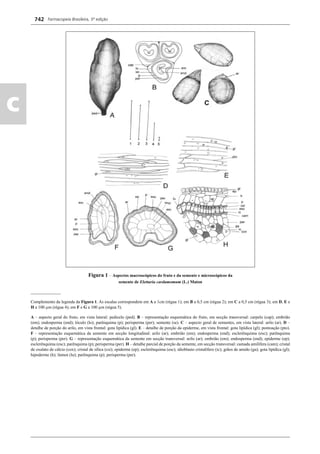 Farmacopeia Brasileira, 5ª edição
c
742
Figura 1 – Aspectos macroscópicos do fruto e da semente e microscópicos da
semente de Elettaria cardamomum (L.) Maton
______________
Complemento da legenda da Figura 1. As escalas correspondem em A a 1cm (régua 1); em B a 0,5 cm (régua 2); em C a 0,5 cm (régua 3); em D, E e
H a 100 μm (régua 4); em F e G a 100 μm (régua 5).
A – aspecto geral do fruto, em vista lateral: pedicelo (ped). B – representação esquemática do fruto, em secção transversal: carpelo (cap); embrião
(em); endosperma (end); lóculo (lo); parênquima (p); perisperma (per); semente (se). C – aspecto geral de sementes, em vista lateral: arilo (ar). D –
detalhe de porção do arilo, em vista frontal: gota lipídica (gl). E – detalhe de porção da epiderme, em vista frontal: gota lipídica (gl); pontoação (pto).
F – representação esquemática da semente em secção longitudinal: arilo (ar); embrião (em); endosperma (end); esclerênquima (esc); parênquima
(p); perisperma (per). G – representação esquemática da semente em secção transversal: arilo (ar); embrião (em); endosperma (end); epiderme (ep);
esclerênquima (esc); parênquima (p); perisperma (per). H – detalhe parcial de porção da semente, em secção transversal: camada amilífera (cam); cristal
de oxalato de cálcio (cox); cristal de sílica (csi); epiderme (ep); esclerênquima (esc); idioblasto cristalífero (ic); grãos de amido (ga); gota lipídica (gl);
hipoderme (h); lúmen (lu); parênquima (p); perisperma (per).
Volume 2_18_07_11.indd 742Volume 2_18_07_11.indd 742 18/07/2011 09:26:4718/07/2011 09:26:47
 