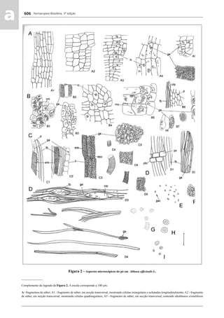 Farmacopeia Brasileira, 5ª edição
aa 606
Figura 2 – Aspectos microscópicos do pó em Althaea ofﬁcinalis L.
______________
Complemento da legenda da Figura 2. A escala corresponde a 100 μm.
A - fragmentos de súber; A1 - fragmento de súber, em secção transversal, mostrando células retangulares e achatadas longitudinalmente; A2 - fragmento
de súber, em secção transversal, mostrando células quadrangulares; A3 - fragmento de súber, em secção transversal, contendo idioblastos cristalíferos
Volume 2_18_07_11.indd 606Volume 2_18_07_11.indd 606 18/07/2011 09:26:2518/07/2011 09:26:25
 