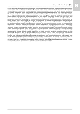 Farmacopeia Brasileira, 5ª edição
aa607
(ic) A4 - fragmento de súber, em secção transversal, com células retangulares e achatadas longitudinalmente, contendo idioblastos cristalíferos e grãos
de amido; grão de amido (ga); idioblasto cristalífero (ic); A5 – fragmento de súber, em vista frontal, contendo grãos de amido (ga); A6 - fragmento de
súber, em secção transversal, com células retangulares e achatadas longitudinalmente, repletas de grãos de amido (ga). B - fragmentos de parênquima;
B1 - fragmento de parênquima, em vista frontal, contendo células com mucilagem e muitos grãos de amido (ga); célula contendo mucilagem (cm);
B2 - fragmento de parênquima, em vista frontal, mostrando idioblastos cristalíferos e células repletas de grãos de amido (ga); idioblasto cristalífero
(ic); B3 – fragmento de parênquima, em secção transversal, contendo grãos de amido (ga); B4 - fragmento de parênquima, em secção transversal,
contendo idioblastos cristalíferos (ic); B5 - fragmento de parênquima, em secção transversal, com células de mucilagem e com muitos grãos de amido
(ga); mucilagem (um); B6 - fragmento de raio parenquimático, em secção longitudinal, mostrando células parenquimáticas e ﬁbras; célula do raio
parenquimático (crp); ﬁbra (fb); parênquima (p); B7- células parenquimáticas isoladas, contendo grãos de amido e cristais de oxalato de cálcio do tipo
drusa ou repletas de grãos de amido; cristal do tipo drusa (cd); grão de amido (ga); B8 - fragmento de raio parenquimático, em secção transversal,
com células contendo grãos de amido (ga). C - fragmentos de xilema; C1 - fragmento de xilema, em secção longitudinal, mostrando elemento de vaso
com espessamento reticulado associado a ﬁbras e a parênquima; elemento de vaso com espessamento reticulado (ere); ﬁbra (fb); grão de amido (ga);
parênquima; C2 - fragmento de xilema, em secção longitudinal, mostrando elemento de vaso com espessamento reticulado, ﬁbras e parênquima em
secção transversal e com grãos de amido; elemento de vaso com espessamento reticulado (ere); ﬁbra (fb); grão de amido (ga); parênquima (p); C3 -
fragmento de xilema, em secção longitudinal, mostrando elementos de vaso com espessamento reticulado e com espessamento pontoado, associados
a células parenquimáticas, repletas de grãos de amido; elemento de vaso com espessamento pontoado (epo); elemento de vaso com espessamento
reticulado (ere); grão de amido (ga); parênquima (p); C4 – porções de elemento de vaso com espessamento helicoidal, em secção longitudinal; C5
- elementos de vaso em secção transversal, com grãos de amido (ga); C6 - porções de elementos de vaso com espessamento reticulado, em secção
longitudinal. D - fragmentos de ﬁbras; D1 - fragmento de ﬁbras, em secção longitudinal associados a células parenquimáticas do xilema; ﬁbra (fb);
parênquima do xilema (px); pontoação (pto); D2 - fragmento de feixes de ﬁbras, em secção longitudinal, contendo grãos de amido (ga); D3 -fragmentos
de feixe de ﬁbras, em secção longitudinal, associados a células do raio parenquimático; célula do raio parenquimático (crp); ﬁbra (fb); grão de amido
(ga); D4 – ﬁbras ou porções destas, isoladas ou agrupadas, em secção longitudinal; grão de amido (ga); D5 - fragmento de agrupamento de ﬁbras, em
secção transversal. E - grãos de amido, em vista frontal, simples ou compostos, isolados ou agrupados em pequeno número; grão de amido composto
(gac); grão de amido (ga). F - agrupamentos formando grumos de grãos de amido, em vista frontal. G - mucilagem desprendida das células. H - células
isoladas contendo mucilagem; mucilagem (mu). I - cristais de oxalato de cálcio do tipo drusa, isolados.
Volume 2_18_07_11.indd 607Volume 2_18_07_11.indd 607 18/07/2011 09:26:2618/07/2011 09:26:26
 