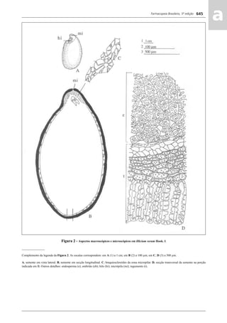 Farmacopeia Brasileira, 5ª edição
aa645
Figura 2 - Aspectos macroscópicos e microscópicos em Illicium verum Hook. f.
_______________
Complemento da legenda da Figura 2. As escalas correspondem: em A (1) a 1 cm; em B (2) a 100 μm; em C, D (3) a 500 μm.
A. semente em vista lateral. B. semente em secção longitudinal. C. braquiesclereídes da zona micropilar. D. secção transversal da semente na porção
indicada em B. Outros detalhes: endosperma (e); embrião (eb); hilo (hi); micrópila (mi); tegumento (t).
Volume 2_18_07_11.indd 645Volume 2_18_07_11.indd 645 18/07/2011 09:26:3118/07/2011 09:26:31
 