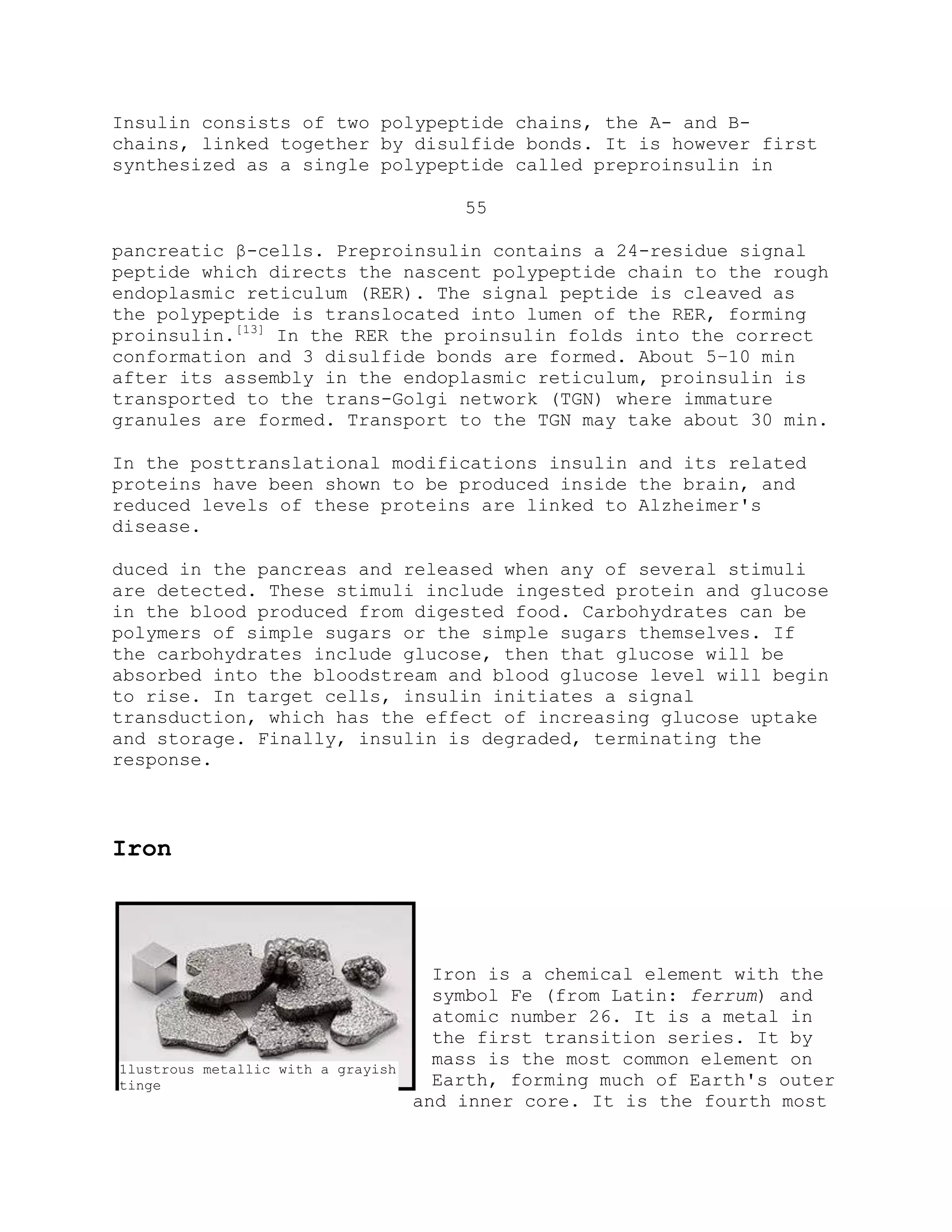 Insulin consists of two polypeptide chains, the A- and B-
chains, linked together by disulfide bonds. It is however first
synthesized as a single polypeptide called preproinsulin in
55
pancreatic β-cells. Preproinsulin contains a 24-residue signal
peptide which directs the nascent polypeptide chain to the rough
endoplasmic reticulum (RER). The signal peptide is cleaved as
the polypeptide is translocated into lumen of the RER, forming
proinsulin.[13]
In the RER the proinsulin folds into the correct
conformation and 3 disulfide bonds are formed. About 5–10 min
after its assembly in the endoplasmic reticulum, proinsulin is
transported to the trans-Golgi network (TGN) where immature
granules are formed. Transport to the TGN may take about 30 min.
In the posttranslational modifications insulin and its related
proteins have been shown to be produced inside the brain, and
reduced levels of these proteins are linked to Alzheimer's
disease.
duced in the pancreas and released when any of several stimuli
are detected. These stimuli include ingested protein and glucose
in the blood produced from digested food. Carbohydrates can be
polymers of simple sugars or the simple sugars themselves. If
the carbohydrates include glucose, then that glucose will be
absorbed into the bloodstream and blood glucose level will begin
to rise. In target cells, insulin initiates a signal
transduction, which has the effect of increasing glucose uptake
and storage. Finally, insulin is degraded, terminating the
response.
Iron
Iron is a chemical element with the
symbol Fe (from Latin: ferrum) and
atomic number 26. It is a metal in
the first transition series. It by
mass is the most common element on
Earth, forming much of Earth's outer
and inner core. It is the fourth most
1lustrous metallic with a grayish
tinge
 