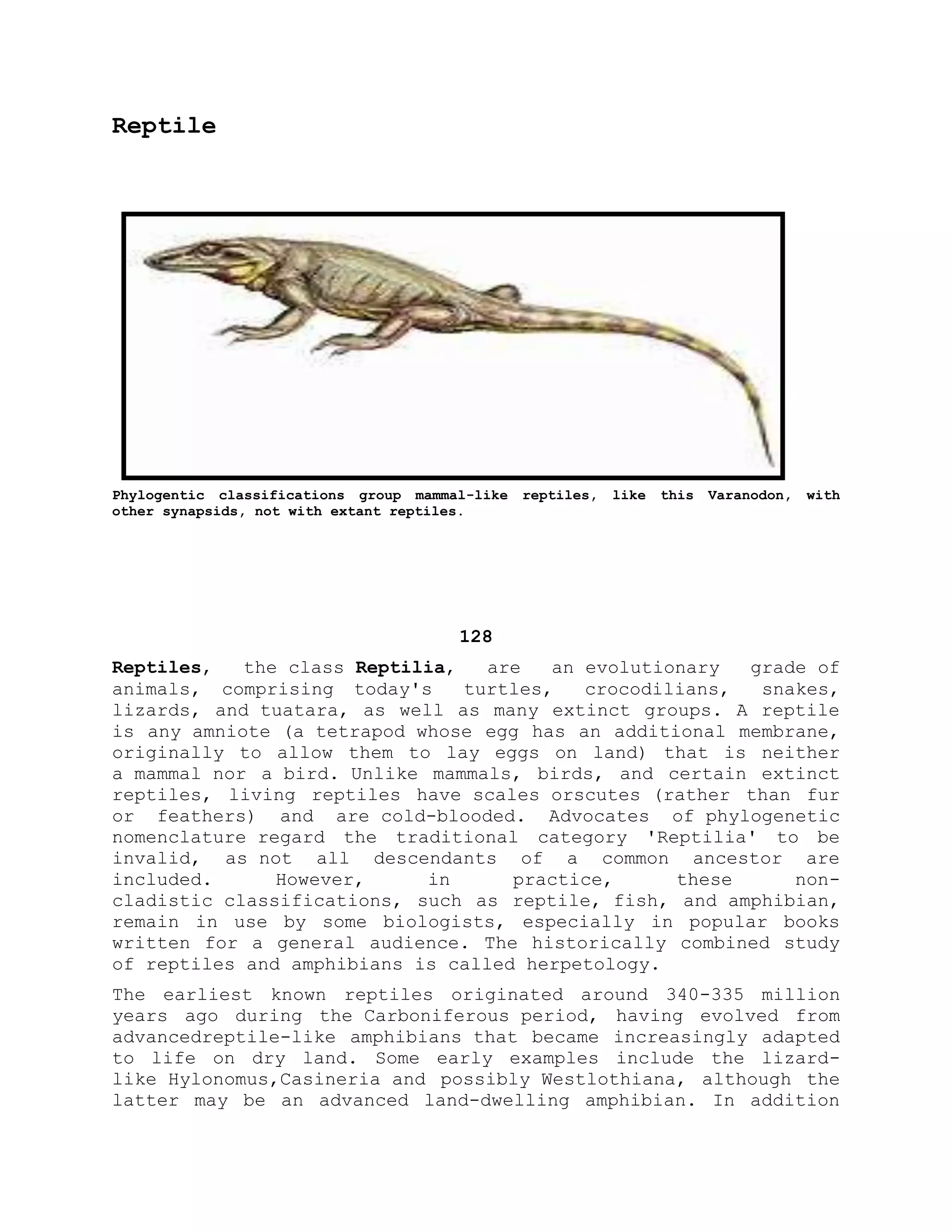 Reptile
Phylogentic classifications group mammal-like reptiles, like this Varanodon, with
other synapsids, not with extant reptiles.
128
Reptiles, the class Reptilia, are an evolutionary grade of
animals, comprising today's turtles, crocodilians, snakes,
lizards, and tuatara, as well as many extinct groups. A reptile
is any amniote (a tetrapod whose egg has an additional membrane,
originally to allow them to lay eggs on land) that is neither
a mammal nor a bird. Unlike mammals, birds, and certain extinct
reptiles, living reptiles have scales orscutes (rather than fur
or feathers) and are cold-blooded. Advocates of phylogenetic
nomenclature regard the traditional category 'Reptilia' to be
invalid, as not all descendants of a common ancestor are
included. However, in practice, these non-
cladistic classifications, such as reptile, fish, and amphibian,
remain in use by some biologists, especially in popular books
written for a general audience. The historically combined study
of reptiles and amphibians is called herpetology.
The earliest known reptiles originated around 340-335 million
years ago during the Carboniferous period, having evolved from
advancedreptile-like amphibians that became increasingly adapted
to life on dry land. Some early examples include the lizard-
like Hylonomus,Casineria and possibly Westlothiana, although the
latter may be an advanced land-dwelling amphibian. In addition
 
