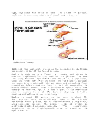 type, myelinate the axons of have also arisen by parallel
evolution in some invertebrates, although they are quite
97
different from vertebrate myelin at the molecular level. Myelin
was discovered in 1854 by Rudolf Virchow.
Myelin is made up by different cell types, and varies in
chemical composition and configuration, but performs the same
insulating function. Myelinated axons are white in appearance,
hence the "white matter" of the brain. The fat helps to insulate
the axons from electrically charged atoms and molecules. These
charged particles (ions) are found in the fluid surrounding the
entire nervous system. Under a microscope, myelin looks like
strings of sausages. Myelin is also a part of the maturation
process leading to a child's fast development, including
crawling and walking in the first year.
Myelin is about 40% water; the dry mass is about 70–
85% lipids and about 15–30% proteins. Some of the proteins
are myelin basic protein, myelin oligodendrocyte glycoprotein,
and proteolipid protein. The primary lipid of myelin is
a glycolipid called galactocerebroside. The intertwining
hydrocarbon chains of sphingomyelin serve to strengthen the
myelin sheath.
Myelin Sheath Formation
 