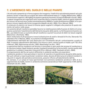 7. L’ARSENICO NEL SUOLO E NELLE PIANTE
 L’As nel suolo è presente sia in forma organica che inorganica. I livelli di As naturalmente presenti nel suolo
 possono variare in base alla sua origine dal valore relativamente basso di 5 mg/kg (Matschullat, 2000) a
 concentrazioni superiori a 40 mg/Kg che possono generare fenomeni di tossicità (Mandal e Suzuki, 2002).
 Le specie inorganiche più importanti sono l’arseniato (AsV) e l’arsenito (AsIII), mentre le specie organiche
 più comuni nel terreno sono l’acido monometilarsonico (MMA) e l’acido dimetilarsinico (DMA), la cui pre-
 senza è minore rispetto alle forme inorganiche (Abedin ed altri, 2002c; Fitz e Wenzel, 2002).
 Il contenuto di arsenico nei tessuti di diverse specie vegetali è collegato alla presenza di questo ele-
 mento nel suolo e nelle acque.
 Un aumento del pH rizosferico potrebbe favorire la mobilizzazione della frazione di As(V) e di conse-
 guenza aumentare l’assorbimento dell’elemento da parte delle piante. La fertilizzazione di piante con
 NO3 può determinare un aumento del pH rizosferico e quindi l’accumulo di As(V) nei tessuti vegetali
 (Marschner e Romheld, 1983).
 Valori molto bassi di pH provocano invece la dissoluzione di ossidi e idrossidi di Fe che, liberando l’As
 adsorbito (Fitz e Wenzel, 2002), ne aumenta la biodisponibilità.
 L’adsorbimento dell’As(V) dei suoli diminuisce con l’incremento del pH, contrariamente a quello di
 AsIII. Il massimo adsorbimento dell’As(V) si ha intorno a pH 4, mentre quello di As(III) a pH 7-8.5 (Fitz
 e Wenzel, 2002; Mahimairaja ed altri, 2005; Masscheleyn ed altri, 1991)
 La speciazione dell’As inorganico nel terreno è controllata in gran parte dai processi di ossidazione e
 di riduzione (redox). Negli ambienti aerobici (ossidanti) predomina la forma As(V), mentre quella AsIII
 predomina in ambienti anaerobici (riducenti) (Fitz e Wenzel, 2002; Takahashi ed altri, 2004).
 Il comportamento dell’As nel suolo è differente in ambiente aerobico ed anaerobico.
 L’ambiente aerobico è il più pericoloso in termini di tossicità e di assorbimento da parte delle piante.
 Nei suoli coltivati a risaia le particolari condizioni redox, dovute all’alternanza di ambienti ossidanti e
 riducenti in seguito alla periodica sommersione, possono influire sull’adsorbimento dell’As.
 Per esempio, in un campo di risaia sperimentale non-sommerso (ambiente aerobico) il 30% di As è
 rappresentato da As(III), mentre in ambiente sommerso (anaerobico) l’AsIII rappresenta il 70% dell’As
 (Takahashi ed altri, 2004).




                                          Terreno di risaia                                        Terreno di
                                          non sommerso                                             risaia sommerso


42
 
