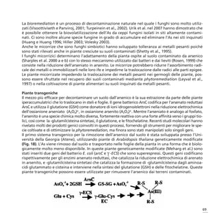 La bioremediation è un processo di decontaminazione naturale nel quale i funghi sono molto utiliz-
zati (Visoottiviseth e Panviroj, 2001; Turpeinein et al., 2002). Urik et al. nel 2007 hanno dimostrato che
è possibile ottenere la biovolatilizzazione dell’As da ceppi fungini isolati in siti altamente contami-
nati. Ci sono inoltre alcune specie fungine in grado di accumulare ed eliminare l’As nei siti inquinati
(Huang e Huang 1996; Hiller 2003; Volesky 2003).
Anche le micorrize che sono funghi simbiotici hanno sviluppato tolleranza ai metalli pesanti poiché
sono stati rilevati anche in piante cresciute su suoli contaminati (Shetty et al., 1995).
I funghi micorrizici determinano l’adattamento della pianta ospite al suolo contaminato da arsenico
(Sharples et al. 2000 a e b) con lo stesso meccanismo utilizzato dai batteri e dai lieviti (Rosen, 1999) che
consiste nella riduzione dell’arseniato in arsenito. Le micorrize potrebbero ridurre l’assorbimento radi-
cale dei metalli o immobilizzarli nelle loro ife e impedirne la traslocazione dalle radici alle parti epigee.
Le piante micorrizate impedendo la traslocazione dei metalli pesanti nei germogli delle piante, pos-
sono essere sfruttate nel recupero dei suoli contaminati mediante phytoremediation (Leyval et al.,
1997) o nella coltivazione di piante alimentari su suoli inquinati da metalli pesanti.

Piante transgeniche
Il mezzo più efficace per decontaminare un suolo dall’arsenico è la sua estrazione da parte delle piante
iperaccumulatrici che lo traslocano in steli e foglie. Il gene batterico ArsC codifica per l’arsenato reduttasi
ArsC e utilizza il glutatione (GSH) come donatore di ioni idrogeno/elettroni nella riduzione elettrochimica
dell’ossianione arseniato (AsO4)3-, in ossianione arsenito (AsO3)3-. Mentre l’arseniato è analogo al fosfato,
l’arsenito è una specie chimica molto diversa, fortemente reattiva con una forte affinità verso i gruppi tio-
lici, così come la -glutamilcisteina sintetasi, il glutatione, e le fitochelatine. Recenti studi molecolari hanno
rivelato molti dei prodotti genici coinvolti in questi processi, fornendo gli strumenti per migliorare le spe-
cie coltivate e di ottimizzare la phytoremediation, ma finora sono stati manipolati solo singoli geni.
Il primo sistema transgenico per la rimozione dell’arsenico dal suolo è stata sviluppata presso l’Uni-
versità della Georgia (Atene), utilizzando piante di Arabidopsis thaliana geneticamente modificate
(Fig. 18). L’As viene rimosso dal suolo e trasportato nelle foglie della pianta in una forma che è biolo-
gicamente molto meno disponibile. In queste piante geneticamente modificate (Meharg et al.) sono
stati inseriti due geni del batterio E. coli (arsC e γ -ECS) che sono superespressi. Questi geni codificano
rispettivamente per gli enzimi arsenato reduttasi, che catalizza la riduzione elettrochimica di arenato
in arsenito, e -glutamilcisteina sintetasi che catalizza la formazione di -glutamilcisteina dagli aminoa-
cidi glutammato e cisteina e interviene nella sintesi del glutatione (GSH) e delle fitochelatine. Queste
piante transgeniche possono essere utilizzate per rimuovere l’arsenico dai terreni contaminati.




                                                                                                                69
 