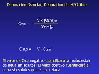 C osm  = V x  [Osm] or [Osm] pl C  H 2 O  = V - C osm Depuración Osmolar; Depuración del H2O libre El valor de C H 2 O   negativo  cuantificará la  reabsorcion   de agua sin solutos ; El valor  positivo  cuantificará el  agua sin solutos que es excretada. 