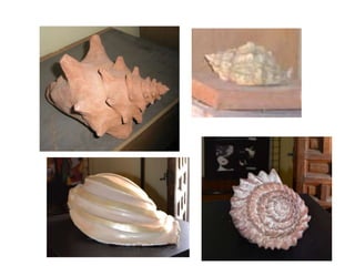 Volumen unidades 2 y 3