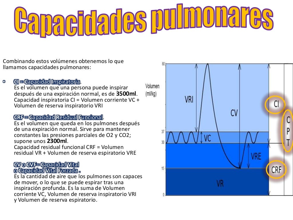 Volumenes y capacidades pulmonares Volumenes y capacidades pulmonares