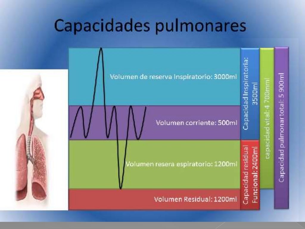 Volumenes pulmonares Volumenes pulmonares