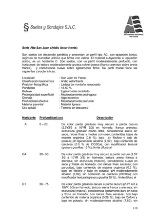 110
Serie Alto San Juan (Aridic Ustorthents)
Son suelos sin desarrollo genético y presentan un perfil tipo AC, con epipedón ócrico,
régimen de humedad arídico que limita con ústico. El material subyacente al epipedón
ócrico, es un horizonte C. Son suelos, con un perfil moderadamente profundo, con
horizontes de textura moderadamente gruesa sobre gruesa (franco arenoso sobre arena
franca), y consistencia suave sobre ligeramente firme. Su perfil modal tiene las
siguientes características.
Localidad : San Juan de Yanac
Clasificación taxonómica : Aridic ustorthents
Posición fisiográfica : Ladera de montaña terraceado
Pendiente : 15-50 %
Relieve : Ligeramente ondulado
Pedregosidad superficial : Moderadamente pedregoso
Drenaje : Algo excesivo
Profundidad efectiva : Moderadamente profundo
Material parental : Material Igneos
Uso actual : Terreno en descanso
Horizonte Profundidad (cm) Descripción
A 0 – 20 De color pardo grisáceo muy oscuro a pardo oscuro
(2.5Y3/2 a 10YR 3/3) en húmedo, franco arenoso,
estructura granular medio débil, consistencia suave en
seco, raíces finas y medias comunes; contenidos bajos de
materia orgánica (0.8 %); bajo en fósforo y bajo de
potasio; pH ligeramente alcalino (7,57); bajo contenido de
calcáreo (0.0 % de CO3Ca); con modificador textural
(grava y gravillas 15 %), límite difuso al
CA 20 - 50 De color pardo grisáceo muy oscuro a pardo oscuro (2.5Y
3/2 a 10YR 3/3) en húmedo; textura arena franca a
arenosa; sin estructura (masivo), consistencia suave en
seco y friable en húmedo; con raíces finas escasas; con
porosidad, bajo contenido de materia orgánica (0,3 %),
bajo en fósforo y bajo en potasio; pH moderadamente
alcalino (7,82); sin contenido de calcáreo (CO3Ca); con
modificador textural (grava y gravilla 35 %), límite difuso al
C1 50 - 75 De color pardo grisáceo oscuro a pardo oscuro (2.5Y 4/2 a
10YR 3/3) en húmedo; textura arena franca a arenosa; sin
estructura (masivo), consistencia ligeramente duro en seco
y firme en húmedo; con raíces finas escasas; con bajo
contenido de materia orgánica (0,28 %), bajo en fósforo y
bajo en potasio; pH moderadamente alcalino (7,83); sin
 