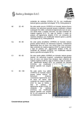117
Perfil del suelo Leonrumi
contenido de calcáreo (CO3Ca 0.0 %); con modificador
textural (grava y gravillas sub angular 15 %), límite gradual al
A2 22 - 40 De color pardo oscuro (10YR3/3) en húmedo; textura franco
arenosa; con estructura granular grueso moderado a bloque
subangular fino débil; consistencia ligeramente duro en seco;
con raíces finas y medias comunes; con bajo contenido de
materia orgánica (0.17 %), bajo en fósforo y medio en
potasio; pH ligeramente alcalino (7.61); sin contenido de
calcáreo (CO3Ca); con modificador textural (grava y gravilla
sub angular 25 %), límite gradual al
Ca 40 - 60 De color pardo amarillento (10YR5/4) en húmedo; textura
gruesa (arena franca); sin estructura (masivo), consistencia
ligeramente duro en seco; con raíces finas muy comunes;
bajo contenido de materia orgánica (0,09 %), bajo en fósforo
y bajo en potasio; pH ligeramente alcalino (7.76); sin
contenido de calcáreo (CO3Ca); con modificador textural
(grava y gravilla sub angular 60 %).
C1 60 - 83 De color pardo pálido (10YR6/3) en húmedo; textura gruesa
(arena); sin estructura (masivo), consistencia ligeramente
duro en seco; con raíces finas escasas; bajo contenido de
materia orgánica (0,06 %), bajo en fósforo y bajo en potasio;
pH ligeramente alcalino (8.0); sin contenido de calcáreo
(CO3Ca); con modificador
textural (gravilla sub angular
70 %).
Cr 83 - 120 De color pardo muy pálido
(10YR7/3) en húmedo; textura
gruesa (arena franca); sin
estructura (masivo),
consistencia ligeramente duro
en seco; sin raíces; bajo
contenido de materia orgánica
(0,02 %), bajo en fósforo y
bajo en potasio; pH
ligeramente alcalino (8.06); sin
contenido de calcáreo
(CO3Ca); con modificador
textural (gravilla sub angular
80 %) con presencia de roca
en meteorización.
Características químicas
 