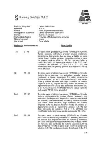 119
Posición fisiográfica : Ladera de montaña
Pendiente : 8-15 %
Relieve : Plano a ligeramente ondulado
Pedregosidad superficial : Libre a ligeramente pedregoso
Drenaje : Bueno a moderado
Profundidad efectiva : Profundo a Moderadamente profundo
Material parental : Igneos
Uso actual : Papa, alfalfa
Horizonte Profundidad (cm) Descripción
Ap 0 – 18 De color pardo grisáceo muy oscuro (10YR3/2) en húmedo,
franco arenoso, estructura granular grueso moderado,
consistencia ligeramente duro en seco y friable en seco,
raíces finas y medias escasas; contenidos medios a bajos
de materia orgánica (2.86 a 1.76 %); bajo en fósforo y
medio de potasio; pH ligeramente alcalino (7,4 a 7.75); bajo
contenido de calcáreo (CO3Ca 0.0 a 0.31 %); con
modificador textural (grava y gravillas sub angular 10-15 %),
límite difuso al
AB 18 - 33 De color pardo grisáceo muy oscuro (10YR3/2) en húmedo;
textura franco arenosa; con estructura granular grueso
moderado a bloque subangular fino débil; consistencia
ligeramente duro en seco y firme en húmedo; con raíces
finas y medias escasas; con bajo contenido de materia
orgánica (0.98 %), bajo en fósforo y medio en potasio; pH
ligeramente alcalino (7.37); bajo contenido de calcáreo (0.0
a 0.7 % CO3Ca); con modificador textural (grava y gravilla
sub angular 15 %), límite gradual al
Bw1 33 - 62 De color pardo grisáceo muy oscuro (10YR3/2) en húmedo;
textura moderadamente gruesa (franco arenoso); con
estructura de bloques sub angular fino fuerte en seco y débil
en húmedo, consistencia duro en seco y firme en húmedo;
con raíces finas escasas; bajo contenido de materia
orgánica (0,49 %), bajo en fósforo y medio en potasio; pH
ligeramente neutro a ligeramente alcalino (7.1-7.4); con
bajo contenido de calcáreo (0.0 a 1 % CO3Ca); con
modificador textural (grava y gravilla sub angular 10-15 %).
Bw2 62 - 88 De color pardo a pardo oscuro (10YR4/3) en húmedo;
textura moderadamente gruesa (franco arenoso); estructura
de bloques sub angular fino débil en húmedo y moderado
en seco, consistencia moderadamente duro en seco y firme
en húmedo; bajo contenido de materia orgánica (0,92 %),
bajo en fósforo y medio en potasio; pH neutro a ligeramente
alcalino (7.1-7.8); con bajo contenido de calcáreo (0.0 a 1 %
 