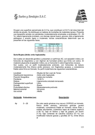 123
Ocupan una superficie aproximada de 2.2 ha, que constituyen el 0.6 % del área total del
ámbito de estudio. Se distribuyen en laderas de montañas de materiales ígneos. Presenta
una topografía variada con pendientes moderadamente empinadas a empinadas (15 - 50
%), relieve ligeramente ondulado, con drenaje natural bueno, gravoso, libre a ligeramente
pedregoso y erosión ligera a moderada, dichas características determinan que se
presenten en las siguientes fases:
FASES
EXTENSION APROX.
ha %
E2/P2W4E1 0,7 0,19
F2/P2W4E2 1,5 0,38
Sub total 2,2 0,6
Serie Muytes (Aridic entic haplustolls)
Son suelos sin desarrollo genético y presentan un perfil tipo AC, con epipedón mólico, sin
horizonte de diagnóstico y con régimen de humedad arídico que limita con ústico. El
material subyacente al epipedón mólico, es un horizonte C sobre fragmentos rocosos.
Son suelos, con un perfil moderadamente profundo, con horizontes de textura
moderadamente fina (franco arcillo arenoso), con fragmentos gruesos, y consistencia
friable sobre firme en húmedo. Su perfil modal tiene las siguientes características.
Localidad : Muytes de San Juan de Yanac
Clasificación taxonómica : Aridic entic haplustolls
Posición fisiográfica : Ladera de montaña
Pendiente : 15-50 %
Relieve : Ligeramente ondulado terraceado
Pedregosidad superficial : Libre
Drenaje : Bueno
Profundidad efectiva : Moderadamente profundo
Material parental : Intrusivos
Uso actual : Alfalfa
Horizonte Profundidad (cm) Descripción
Ap 0 – 26 De color pardo grisáceo muy oscuro (10YR3/2) en húmedo,
franco arcillo arenoso, estructura granular grueso
moderado, consistencia friable en húmedo; raíces finas y
medias abundantes; contenidos bajos de materia orgánica
(1.58 %); bajo en fósforo y bajo de potasio; pH neutro
(7,15); bajo contenido de calcáreo (CO3Ca 0.0 %); con
modificador textural (gravas y gravillas 20 %), límite difuso
al
 