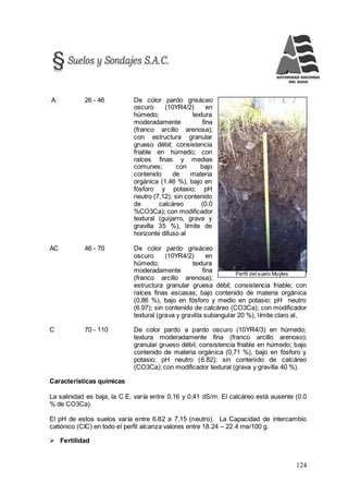 124
Perfil del suelo Muytes
A 26 - 46 De color pardo grisáceo
oscuro (10YR4/2) en
húmedo; textura
moderadamente fina
(franco arcillo arenosa);
con estructura granular
grueso débil; consistencia
friable en húmedo; con
raíces finas y medias
comunes; con bajo
contenido de materia
orgánica (1.46 %), bajo en
fósforo y potasio; pH
neutro (7,12); sin contenido
de calcáreo (0.0
%CO3Ca); con modificador
textural (guijarro, grava y
gravilla 35 %), límite de
horizonte difuso al
AC 46 - 70 De color pardo grisáceo
oscuro (10YR4/2) en
húmedo; textura
moderadamente fina
(franco arcillo arenosa);
estructura granular gruesa débil; consistencia friable; con
raíces finas escasas; bajo contenido de materia orgánica
(0,86 %), bajo en fósforo y medio en potasio; pH neutro
(6.97); sin contenido de calcáreo (CO3Ca); con modificador
textural (grava y gravilla subangular 20 %), límite claro al,
C 70 - 110 De color pardo a pardo oscuro (10YR4/3) en húmedo;
textura moderadamente fina (franco arcillo arenoso);
granular grueso débil; consistencia friable en húmedo; bajo
contenido de materia orgánica (0,71 %), bajo en fósforo y
potasio; pH neutro (6.82); sin contenido de calcáreo
(CO3Ca); con modificador textural (grava y gravilla 40 %).
Características químicas
La salinidad es baja, la C.E. varía entre 0,16 y 0,41 dS/m. El calcáreo está ausente (0.0
% de CO3Ca).
El pH de estos suelos varía entre 6.82 a 7,15 (neutro). La Capacidad de intercambio
catiónico (CIC) en todo el perfil alcanza valores entre 18.24 – 22.4 me/100 g.
 Fertilidad
 