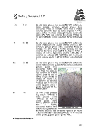 126
Perfil del suelo San Juan
Ap 0 – 24 De color pardo grisáceo muy oscuro (10YR3/2) en húmedo,
franco arenoso, estructura granular grueso débil;
consistencia friable en húmedo; raíces finas y medias
comunes; contenidos bajos de materia orgánica (1.77 %);
bajo en fósforo y medio de potasio; pH neutro a ligeramente
alcalino (7.2-7,31); bajo contenido de calcáreo (CO3Ca 0.0
%); con modificador textural (gravillas 5-10 %), límite difuso
al
A 24 - 58 De color pardo grisáceo muy oscuro (10YR3/2) en húmedo;
textura moderadamente gruesa (franco arenosa); con
estructura granular grueso débil; consistencia friable en
húmedo; con raíces finas y medias escasas; con bajo
contenido de materia orgánica (1.15 %), bajo en fósforo y
potasio; pH neutro a ligeramente alcalino (7.02-7,33); sin
contenido de calcáreo (0.0 %CO3Ca); con modificador
textural (grava y gravilla 15-25 %), límite de horizonte difuso
al
Ca 58 - 85 De color pardo grisáceo muy oscuro (10YR3/2) en húmedo;
textura moderadamente gruesa (franco arenosa); estructura
granular gruesa débil;
consistencia friable; con
raíces finas muy escasas;
bajo contenido de materia
orgánica (0.68 %), bajo en
fósforo y bajo a medio en
potasio; pH neutro (7.0);
sin contenido de calcáreo
(CO3Ca); con modificador
textural (guijarro, grava y
gravilla subangular 60 %),
límite difuso al,
Cr +85 De color pardo grisáceo
muy oscuro (10YR3/2) a
pardo grisáceo oscuro
(10YR4/2) en húmedo;
textura gruesa (arena
franca); granular grueso
débil a masivo;
consistencia friable a firme
en húmedo; bajo contenido
de materia orgánica, bajo en fósforo y potasio; pH neutro
(7.2); sin contenido de calcáreo (CO3Ca); con modificador
textural (piedra, guijarro, grava y gravilla 70 %).
Características químicas
 