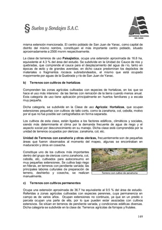 149
Terreno con cultivo de zanahoria
misma extensión mencionada. El centro poblado de San Juan de Yanac, como capital de
distrito del mismo nombre, constituyen el más importante centro poblado, situado
aproximadamente a 2500 msnm respectivamente.
La clase de terrenos de uso Paisajístico, ocupa una extensión aproximada de 16.8 ha,
equivalente al 4.3 % del área del estudio. Se subdivide en la Unidad de Cauce de ríos y
quebradas, que comprende el cauce para el desplazamiento del agua de río, tanto en
épocas de estío y de grandes avenidas; en dicho cauce predominan los depósitos de
materiales o fragmentos rocosos subredondeados, el mismo que está ocupado
mayormente por aguas de la Quebrada y río de San Juan de Yanac.
b) Terrenos con cultivos de hortalizas
Comprenden las zonas agrícolas cultivadas con especies de hortalizas, en los que se
hace el uso más intensivo de las tierras con remoción de la tierra cuando menos anual.
Esta categoría de uso tiene aplicación principalmente en huertos familiares y a escala
muy pequeña.
Dicha categoría, se subdivide en la Clase de uso Agrícola: Hortalizas, que ocupan
extensiones pequeñas con cultivos de tallo corto, como la zanahoria, col, cebolla, motivo
por el que no fue posible ser cartografiados en forma separada.
Los cultivos de esta clase, están ligados a los factores edáficos, climáticos y sociales,
siendo más determinante el clima por la demanda frecuente de agua de riego y el
aspecto social por desconocimiento en su manejo. Dicha clase está comprendida por la
unidad de terrenos ocupados por olerizas: zanahoria, col, etc.
Unidad de Terrenos con zanahoria y otras olerizas, frecuentemente son de pequeñas
áreas que fueron observados al momento del mapeo, algunas se encontraban en
maduración y otros en cosecha.
Constituye uno de los cultivos más importantes
dentro del grupo de olerizas como zanahoria, col,
cebolla, etc, cultivados para autoconsumo en
muy pequeñas extensiones. Se cultiva bajo riego
en hileras, en terrenos con pendiente variada; las
principales labores culturales de preparación de
terreno, deshierbo y cosecha, se realizan
manualmente.
c) Terrenos con cultivos permanentes
Ocupa una extensión aproximada de 36.7 ha equivalente al 9.5 % del área de estudio.
Referidas a zonas agrícolas cultivadas con especies perennes, cuya permanencia en
campo es de varios años. Ocupan extensiones no continuos, ya que en un predio o
parcela ocupan una parte de ella, por lo que pueden estar asociadas con cultivos
extensivos. Se sitúan en terrenos de pendiente variada, y condiciones edáficas diversas.
Dicha categoría se subdivide en la clase de: Terrenos agrícolas de forrajes y frutales.
 