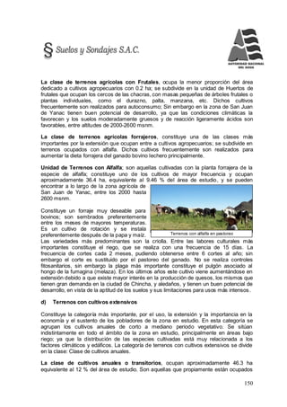 150
Terrenos con alfalfa en pastoreo
La clase de terrenos agrícolas con Frutales, ocupa la menor proporción del área
dedicado a cultivos agropecuarios con 0.2 ha; se subdivide en la unidad de Huertos de
frutales que ocupan los cercos de las chacras, con masas pequeñas de árboles frutales o
plantas individuales, como el durazno, palta, manzana, etc. Dichos cultivos
frecuentemente son realizados para autoconsumo; Sin embargo en la zona de San Juan
de Yanac tienen buen potencial de desarrollo, ya que las condiciones climáticas la
favorecen y los suelos moderadamente gruesos y de reacción ligeramente ácidos son
favorables, entre altitudes de 2000-2600 msnm.
La clase de terrenos agrícolas forrajeros, constituye una de las clases más
importantes por la extensión que ocupan entre a cultivos agropecuarios; se subdivide en
terrenos ocupados con alfalfa. Dichos cultivos frecuentemente son realizados para
aumentar la dieta forrajera del ganado bovino lechero principalmente.
Unidad de Terrenos con Alfalfa; son aquellas cultivadas con la planta forrajera de la
especie de alfalfa; constituye uno de los cultivos de mayor frecuencia y ocupan
aproximadamente 36.4 ha, equivalente al 9.46 % del área de estudio, y se pueden
encontrar a lo largo de la zona agrícola de
San Juan de Yanac, entre los 2000 hasta
2600 msnm.
Constituye un forraje muy deseable para
bovinos; son sembrados preferentemente
entre los meses de mayores temperaturas.
Es un cultivo de rotación y se instala
preferentemente después de la papa y maíz.
Las variedades más predominantes son la criolla. Entre las labores culturales más
importantes constituye el riego, que se realiza con una frecuencia de 15 días. La
frecuencia de cortes cada 2 meses, pudiendo obtenerse entre 6 cortes al año; sin
embargo el corte es sustituido por el pastoreo del ganado. No se realiza controles
fitosanitarios, sin embargo la plaga más importante constituye el pulgón asociado al
hongo de la fumagina (melaza). En los últimos años este cultivo viene aumentándose en
extensión debido a que existe mayor interés en la producción de quesos, los mismos que
tienen gran demanda en la ciudad de Chincha, y aledaños, y tienen un buen potencial de
desarrollo, en vista de la aptitud de los suelos y sus limitaciones para usos más intensos.
d) Terrenos con cultivos extensivos
Constituye la categoría más importante, por el uso, la extensión y la importancia en la
economía y el sustento de los pobladores de la zona en estudio. En esta categoría se
agrupan los cultivos anuales de corto a mediano periodo vegetativo. Se sitúan
indistintamente en todo el ámbito de la zona en estudio, principalmente en áreas bajo
riego; ya que la distribución de las especies cultivadas está muy relacionada a los
factores climáticos y edáficos. La categoría de terrenos con cultivos extensivos se divide
en la clase: Clase de cultivos anuales.
La clase de cultivos anuales o transitorios, ocupan aproximadamente 46.3 ha
equivalente al 12 % del área de estudio. Son aquellas que propiamente están ocupados
 