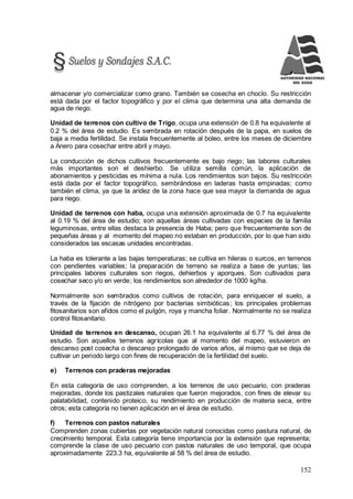 152
almacenar y/o comercializar como grano. También se cosecha en choclo. Su restricción
está dada por el factor topográfico y por el clima que determina una alta demanda de
agua de riego.
Unidad de terrenos con cultivo de Trigo, ocupa una extensión de 0.8 ha equivalente al
0.2 % del área de estudio. Es sembrada en rotación después de la papa, en suelos de
baja a media fertilidad. Se instala frecuentemente al boleo, entre los meses de diciembre
a Anero para cosechar entre abril y mayo.
La conducción de dichos cultivos frecuentemente es bajo riego; las labores culturales
más importantes son el deshierbo. Se utiliza semilla común, la aplicación de
abonamientos y pesticidas es mínima a nula. Los rendimientos son bajos. Su restricción
está dada por el factor topográfico, sembrándose en laderas hasta empinadas; como
también el clima, ya que la aridez de la zona hace que sea mayor la demanda de agua
para riego.
Unidad de terrenos con haba, ocupa una extensión aproximada de 0.7 ha equivalente
al 0.19 % del área de estudio; son aquellas áreas cultivadas con especies de la familia
leguminosas, entre ellas destaca la presencia de Haba; pero que frecuentemente son de
pequeñas áreas y al momento del mapeo no estaban en producción, por lo que han sido
considerados las escasas unidades encontradas.
La haba es tolerante a las bajas temperaturas; se cultiva en hileras o surcos, en terrenos
con pendientes variables; la preparación de terreno se realiza a base de yuntas; las
principales labores culturales son riegos, dehierbos y aporques. Son cultivados para
cosechar seco y/o en verde; los rendimientos son alrededor de 1000 kg/ha.
Normalmente son sembrados como cultivos de rotación, para enriquecer el suelo, a
través de la fijación de nitrógeno por bacterias simbióticas; los principales problemas
fitosanitarios son afidos como el pulgón, roya y mancha foliar. Normalmente no se realiza
control fitosanitario.
Unidad de terrenos en descanso, ocupan 26.1 ha equivalente al 6.77 % del área de
estudio. Son aquellos terrenos agrícolas que al momento del mapeo, estuvieron en
descanso post cosecha o descanso prolongado de varios años, al mismo que se deja de
cultivar un periodo largo con fines de recuperación de la fertilidad del suelo.
e) Terrenos con praderas mejoradas
En esta categoría de uso comprenden, a los terrenos de uso pecuario, con praderas
mejoradas, donde los pastizales naturales que fueron mejorados, con fines de elevar su
palatabilidad, contenido proteico, su rendimiento en producción de materia seca, entre
otros; esta categoría no tienen aplicación en el área de estudio.
f) Terrenos con pastos naturales
Comprenden zonas cubiertas por vegetación natural conocidas como pastura natural, de
crecimiento temporal. Esta categoría tiene importancia por la extensión que representa;
comprende la clase de uso pecuario con pastos naturales de uso temporal, que ocupa
aproximadamente 223.3 ha, equivalente al 58 % del área de estudio.
 