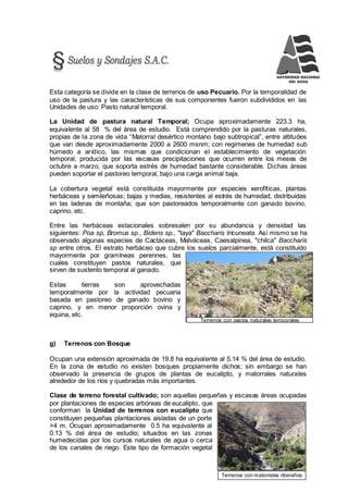153
Terrenos con pastos naturales temporales
Terrenos con matorrales ribereños
Esta categoría se divide en la clase de terrenos de uso Pecuario. Por la temporalidad de
uso de la pastura y las características de sus componentes fueron subdivididos en las
Unidades de uso: Pasto natural temporal.
La Unidad de pastura natural Temporal; Ocupa aproximadamente 223.3 ha,
equivalente al 58 % del área de estudio. Está comprendido por la pasturas naturales,
propias de la zona de vida “Matorral desértico montano bajo subtropical”, entre altitudes
que van desde aproximadamente 2000 a 2600 msnm; con regimenes de humedad sub
húmedo a arídico, las mismas que condicionan el establecimiento de vegetación
temporal, producida por las escasas precipitaciones que ocurren entre los meses de
octubre a marzo, que soporta estrés de humedad bastante considerable. Dichas áreas
pueden soportar el pastoreo temporal, bajo una carga animal baja.
La cobertura vegetal está constituida mayormente por especies xerofíticas, plantas
herbáceas y semileñosas; bajas y medias, resistentes al estrés de humedad, distribuidas
en las laderas de montaña; que son pastoreados temporalmente con ganado bovino,
caprino, etc.
Entre las herbáceas estacionales sobresalen por su abundancia y densidad las
siguientes: Poa sp, Bromus sp., Bidens sp., "taya" Baccharis tricuneata. Así mismo se ha
observado algunas especies de Cactáceas, Malváceas, Caesalpinea, "chilca" Baccharis
sp entre otros. El estrato herbáceo que cubre los suelos parcialmente, está constituido
mayormente por gramíneas perennes, las
cuales constituyen pastos naturales, que
sirven de sustento temporal al ganado.
Estas tierras son aprovechadas
temporalmente por la actividad pecuaria
basada en pastoreo de ganado bovino y
caprino, y en menor proporción ovina y
equina, etc.
g) Terrenos con Bosque
Ocupan una extensión aproximada de 19.8 ha equivalente al 5.14 % del área de estudio.
En la zona de estudio no existen bosques propiamente dichos; sin embargo se han
observado la presencia de grupos de plantas de eucalipto, y matorrales naturales
alrededor de los ríos y quebradas más importantes.
Clase de terreno forestal cultivado; son aquellas pequeñas y escasas áreas ocupadas
por plantaciones de especies arbóreas de eucalipto, que
conforman la Unidad de terrenos con eucalipto que
constituyen pequeñas plantaciones aisladas de un porte
>4 m. Ocupan aproximadamente 0.5 ha equivalente al
0.13 % del área de estudio; situados en las zonas
humedecidas por los cursos naturales de agua o cerca
de los canales de riego. Este tipo de formación vegetal
 