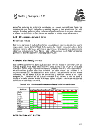 155
pequeños sistemas de andenería, construidas en épocas prehispánicas hasta los
republicanos; que fueron cultivados en épocas pasadas y que actualmente han sido
dejados de cultivar y abandonados, motivo por el que los sistemas de terrazas colapsaron
a falta de mantenimiento; en las mismas que se observa erosión moderada a severa.
2.5.3 Otros aspectos del uso de tierras
Rotación de cultivos
Las tierras agrícolas de cultivos transitorios, son usadas en sistemas de rotación, para la
regeneración natural de la fertilidad de los suelos. La rotación frecuentemente es de la
siguiente manera: tuberosas, gramíneas y leguminosas. Una rotación más comúnmente
observada es la siguiente Papa- Maíz o Haba –Alfalfa, aunque puede haber variaciones
por razones de orden económico, técnico productivo, etc.
Calendario de siembras y cosechas
Las siembras de la mayoría de los cultivos inician entre los meses de septiembre, con los
cultivos de papa, maíz, haba, intensificándose entre los meses de octubre a enero; Los
cultivos de cebada, trigo, y algunas hortalizas se realizan al final de la época de siembras.
Ocasionalmente pueden realizarse siembras en otros meses de acuerdo a la
disponibilidad de agua y la adaptabilidad de los cultivos. Frecuentemente entre los meses
invernales, no se tienen cultivos en crecimiento y floración, debido a las bajas
temperaturas. La mayoría de los cultivos coinciden en su cosecha a fines de otoño e
inicios de invierno, entre los meses de marzo a agosto, tal como se ilustra en el cuadro de
calendario de siembras y cosechas.
Cuadro Nº u-3-j. Calendario de siembras y cosecha en el sector San Juan de Yanac
Ene Feb Mar Abr May Jun Jul Ago Set Oct Nov Dic
Alfalfa
Papa
Arveja
Arvejón
Haba
Cebada
Maíz
Trigo
Zanahoria, col
Siembra:
Cosecha:
Meses
Cultivos
DISTRIBUCIÓN ANIVEL PREDIAL
 