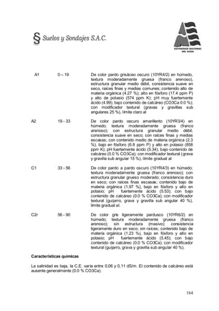 164
A1 0 – 19 De color pardo grisáceo oscuro (10YR4/2) en húmedo,
textura moderadamente gruesa (franco arenoso),
estructura granular medio débil, consistencia suave en
seco, raíces finas y medias comunes; contenido alto de
materia orgánica (4.27 %); alto en fósforo (17.4 ppm P)
y alto de potasio (574 ppm K); pH muy fuertemente
ácido (4.99); bajo contenido de calcáreo (CO3Ca 0.0 %);
con modificador textural (gravas y gravillas sub
angulares 25 %), límite claro al
A2 19 - 33 De color pardo oscuro amarillento (10YR3/4) en
húmedo; textura moderadamente gruesa (franco
arenoso); con estructura granular medio débil;
consistencia suave en seco; con raíces finas y medias
escasas; con contenido medio de materia orgánica (2.3
%), bajo en fósforo (6.8 ppm P) y alto en potasio (858
ppm K); pH fuertemente ácido (5.34); bajo contenido de
calcáreo (0.0 % CO3Ca); con modificador textural (grava
y gravilla sub angular 15 %), límite gradual al
C1 33 - 56 De color pardo a pardo oscuro (10YR4/3) en húmedo;
textura moderadamente gruesa (franco arenoso); con
estructura granular grueso moderado; consistencia duro
en seco; con raíces finas escasas; contenido bajo de
materia orgánica (1.97 %), bajo en fósforo y alto en
potasio; pH fuertemente ácido (5.53); con bajo
contenido de calcáreo (0.0 % CO3Ca); con modificador
textural (guijarro, grava y gravilla sub angular 40 %),
límite gradual al.
C2r 56 - 90 De color gris ligeramente pardusco (10YR6/2) en
húmedo; textura moderadamente gruesa (franco
arenoso); sin estructura (masivo); consistencia
ligeramente duro en seco; sin raíces; contenido bajo de
materia orgánica (1.23 %), bajo en fósforo y alto en
potasio; pH fuertemente ácido (5.45); con bajo
contenido de calcáreo (0.0 % CO3Ca); con modificador
textural (guijarro, grava y gravilla sub angular 40 %).
Características químicas
La salinidad es baja, la C.E. varía entre 0,06 y 0,11 dS/m. El contenido de calcáreo está
ausente generalmente (0.0 % CO3Ca).
 