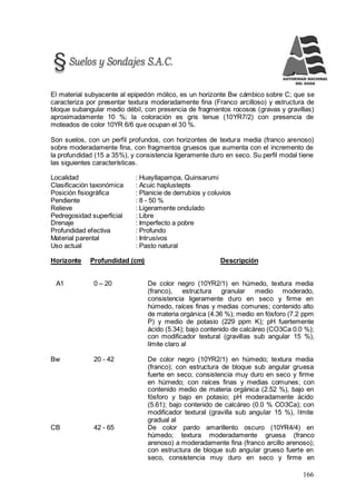 166
El material subyacente al epipedón mólico, es un horizonte Bw cámbico sobre C; que se
caracteriza por presentar textura moderadamente fina (Franco arcilloso) y estructura de
bloque subangular medio débil, con presencia de fragmentos rocosos (gravas y gravillas)
aproximadamente 10 %; la coloración es gris tenue (10YR7/2) con presencia de
moteados de color 10YR 6/6 que ocupan el 30 %.
Son suelos, con un perfil profundos, con horizontes de textura media (franco arenoso)
sobre moderadamente fina, con fragmentos gruesos que aumenta con el incremento de
la profundidad (15 a 35%), y consistencia ligeramente duro en seco. Su perfil modal tiene
las siguientes características.
Localidad : Huayllapampa, Quinsarumi
Clasificación taxonómica : Acuic haplustepts
Posición fisiográfica : Planicie de derrubios y coluvios
Pendiente : 8 - 50 %
Relieve : Ligeramente ondulado
Pedregosidad superficial : Libre
Drenaje : Imperfecto a pobre
Profundidad efectiva : Profundo
Material parental : Intrusivos
Uso actual : Pasto natural
Horizonte Profundidad (cm) Descripción
A1 0 – 20 De color negro (10YR2/1) en húmedo, textura media
(franco), estructura granular medio moderado,
consistencia ligeramente duro en seco y firme en
húmedo, raíces finas y medias comunes; contenido alto
de materia orgánica (4.36 %); medio en fósforo (7.2 ppm
P) y medio de potasio (229 ppm K); pH fuertemente
ácido (5.34); bajo contenido de calcáreo (CO3Ca 0.0 %);
con modificador textural (gravillas sub angular 15 %),
límite claro al
Bw 20 - 42 De color negro (10YR2/1) en húmedo; textura media
(franco); con estructura de bloque sub angular gruesa
fuerte en seco; consistencia muy duro en seco y firme
en húmedo; con raíces finas y medias comunes; con
contenido medio de materia orgánica (2.52 %), bajo en
fósforo y bajo en potasio; pH moderadamente ácido
(5.61); bajo contenido de calcáreo (0.0 % CO3Ca); con
modificador textural (gravilla sub angular 15 %), límite
gradual al
CB 42 - 65 De color pardo amarillento oscuro (10YR4/4) en
húmedo; textura moderadamente gruesa (franco
arenoso) a moderadamente fina (franco arcillo arenoso);
con estructura de bloque sub angular grueso fuerte en
seco, consistencia muy duro en seco y firme en
 
