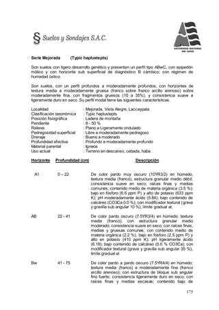 175
Serie Mejorada (Typic haplustepts)
Son suelos con ligero desarrollo genético y presentan un perfil tipo ABwC, con epipedón
mólico y con horizonte sub superficial de diagnóstico B cámbico; con régimen de
humedad ústico.
Son suelos, con un perfil profundos a moderadamente profundos, con horizontes de
textura media a moderadamente gruesa (franco sobre franco arcillo arenoso) sobre
moderadamente fina, con fragmentos gruesos (10 a 35%), y consistencia suave a
ligeramente duro en seco. Su perfil modal tiene las siguientes características.
Localidad : Mejorada, Vista Alegre, Laccaypata
Clasificación taxonómica : Typic haplustepts
Posición fisiográfica : Ladera de montaña
Pendiente : 8 - 50 %
Relieve : Plano a Ligeramente ondulado
Pedregosidad superficial : Libre a moderadamente pedregoso
Drenaje : Bueno a moderado
Profundidad efectiva : Profundo a moderadamente profundo
Material parental : Igneos
Uso actual : Terreno en descanso, cebada, haba
Horizonte Profundidad (cm) Descripción
A1 0 – 22 De color pardo muy oscuro (10YR3/2) en húmedo,
textura media (franco), estructura granular medio débil;
consistencia suave en seco; raíces finas y medias
comunes; contenido medio de materia orgánica (3.5 %);
bajo en fósforo (6.6 ppm P) y alto de potasio (633 ppm
K); pH moderadamente ácido (5.84); bajo contenido de
calcáreo (CO3Ca 0.0 %); con modificador textural (grava
y gravilla sub angular 10 %), límite gradual al,
AB 22 - 41 De color pardo oscuro (7.5YR3/4) en húmedo; textura
media (franco); con estructura granular medio
moderado; consistencia suave en seco; con raíces finas,
medias y gruesas comunes; con contenido medio de
materia orgánica (2.2 %), bajo en fósforo (2.5 ppm P) y
alto en potasio (410 ppm K); pH ligeramente ácido
(6.18); bajo contenido de calcáreo (0.0 % CO3Ca); con
modificador textural (grava y gravilla sub angular 35 %),
límite gradual al
Bw 41 - 75 De color pardo a pardo oscuro (7.5YR4/4) en húmedo;
textura media (franco) a moderadamente fina (franco
arcillo arenoso); con estructura de bloque sub angular
fino fuerte; consistencia ligeramente duro en seco; con
raíces finas y medias escasas; contenido bajo de
 