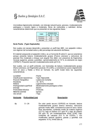 177
microrelieve ligeramente ondulado, con drenaje natural bueno, gravoso, moderadamente
pedregoso y erosión ligera a moderada, libres de carbonatos y salinidad; dichas
características determinan que se presenten en las siguientes fases:
FASES
EXTENSION APROX.
ha %
E2/P2W4E1 3,2 0,50
F2/P2W4E2 10,3 1,59
Sub total 13,5 2,1
Serie Paclía (Typic Haplustolls)
Son suelos con escaso desarrollo y presentan un perfil tipo ABC, con epipedón mólico;
con régimen de humedad ústico y alto porcentaje de saturación de Bases.
El material subyacente al epipedón mólico, es un horizonte B sobre C; que se caracteriza
porque presenta textura moderadamente gruesa (Franco arenoso) y estructura de
granular fino moderado a bloque sub angular fino débil; con presencia de fragmentos
rocosos (guijarros, gravas y gravillas) aproximadamente en 10 %; la coloración es negro
(10YR2/1). Presenta reacción moderadamente ácido (pH 5.5).
Son suelos, con un perfil profundo, con horizontes de textura moderadamente gruesa
(franco arenoso), con fragmentos gruesos (10 a 20%), y consistencia suave a ligeramente
duro en seco y friable a firme en húmedo. Su perfil modal tiene las siguientes
características.
Localidad : Paclía
Clasificación taxonómica : Typic Haplustolls
Posición fisiográfica : Ladera de montaña
Pendiente : 15 - 50 %
Relieve : Ligeramente ondulado
Pedregosidad superficial : Moderadamente pedregoso a libre
Drenaje : Bueno
Profundidad efectiva : Profundo
Material parental : Igneos
Uso actual : Trigo
Horizonte Profundidad (cm) Descripción
Ap 0 – 24 De color pardo oscuro (10YR3/3) en húmedo, textura
moderadamente gruesa (franco arenoso), estructura
granular medio débil, consistencia suave en seco; raíces
finas abundantes; contenido medio de materia orgánica
(3.0 %); bajo en fósforo (4.7 ppm P) y bajo de potasio
(55 ppm K); pH moderadamente ácido (5.84); bajo
contenido de calcáreo (0.0 % de CO3Ca ); con
modificador textural (guijarro, gravas y gravillas sub
angulares 15 %), límite claro al,
 
