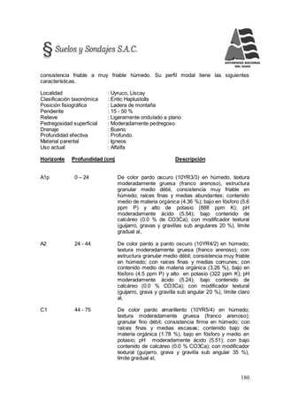 180
consistencia friable a muy friable húmedo. Su perfil modal tiene las siguientes
características.
Localidad : Uyruco, Liscay
Clasificación taxonómica : Entic Haplustolls
Posición fisiográfica : Ladera de montaña
Pendiente : 15 - 50 %
Relieve : Ligeramente ondulado a plano
Pedregosidad superficial : Moderadamente pedregoso
Drenaje : Bueno
Profundidad efectiva : Profundo
Material parental : Igneos
Uso actual : Alfalfa
Horizonte Profundidad (cm) Descripción
A1p 0 – 24 De color pardo oscuro (10YR3/3) en húmedo, textura
moderadamente gruesa (franco arenoso), estructura
granular medio débil, consistencia muy friable en
húmedo; raíces finas y medias abundantes; contenido
medio de materia orgánica (4.36 %); bajo en fósforo (5.6
ppm P) y alto de potasio (888 ppm K); pH
moderadamente ácido (5.54); bajo contenido de
calcáreo (0.0 % de CO3Ca); con modificador textural
(guijarro, gravas y gravillas sub angulares 20 %), límite
gradual al,
A2 24 - 44 De color pardo a pardo oscuro (10YR4/2) en húmedo;
textura moderadamente gruesa (franco arenoso); con
estructura granular medio débil; consistencia muy friable
en húmedo; con raíces finas y medias comunes; con
contenido medio de materia orgánica (3.26 %), bajo en
fósforo (4.5 ppm P) y alto en potasio (322 ppm K); pH
moderadamente ácido (5.24); bajo contenido de
calcáreo (0.0 % CO3Ca); con modificador textural
(guijarro, grava y gravilla sub angular 20 %), límite claro
al,
C1 44 - 75 De color pardo amarillento (10YR5/4) en húmedo;
textura moderadamente gruesa (franco arenoso);
granular fino débil; consistencia firme en húmedo; con
raíces finas y medias escasas; contenido bajo de
materia orgánica (1.78 %), bajo en fósforo y medio en
potasio; pH moderadamente ácido (5.51); con bajo
contenido de calcáreo (0.0 % CO3Ca); con modificador
textural (guijarro, grava y gravilla sub angular 35 %),
límite gradual al,
 