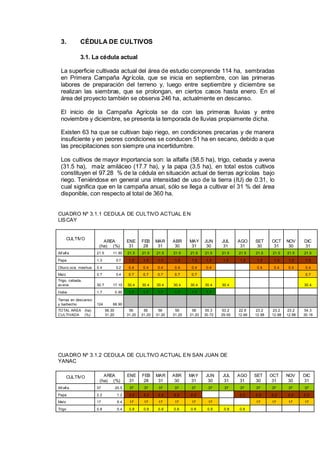 3. CÉDULA DE CULTIVOS
3.1. La cédula actual
La superficie cultivada actual del área de estudio comprende 114 ha, sembradas
en Primera Campaña Agrícola, que se inicia en septiembre, con las primeras
labores de preparación del terreno y, luego entre septiembre y diciembre se
realizan las siembras, que se prolongan, en ciertos casos hasta enero. En el
área del proyecto también se observa 246 ha, actualmente en descanso.
El inicio de la Campaña Agrícola se da con las primeras lluvias y entre
noviembre y diciembre, se presenta la temporada de lluvias propiamente dicha.
Existen 63 ha que se cultivan bajo riego, en condiciones precarias y de manera
insuficiente y en peores condiciones se conducen 51 ha en secano, debido a que
las precipitaciones son siempre una incertidumbre.
Los cultivos de mayor importancia son: la alfalfa (58.5 ha), trigo, cebada y avena
(31.5 ha), maíz amiláceo (17.7 ha), y la papa (3.5 ha), en total estos cultivos
constituyen el 97.28 % de la cédula en situación actual de tierras agrícolas bajo
riego. Teniéndose en general una intensidad de uso de la tierra (IU) de 0.31, lo
cual significa que en la campaña anual, sólo se llega a cultivar el 31 % del área
disponible, con respecto al total de 360 ha.
CUADRO Nº 3.1.1 CEDULA DE CULTIVO ACTUAL EN
LISCAY
CULTIVO
AREA
(ha) (%)
ENE
31
FEB
28
MAR
31
ABR
30
MAY
31
JUN
30
JUL
31
AGO
31
SET
30
OCT
31
NOV
30
DIC
31
Alf alf a 21.5 11.90 21.5 21.5 21.5 21.5 21.5 21.5 21.5 21.5 21.5 21.5 21.5 21.5
Papa 1.3 0.7 1.3 1.3 1.3 1.3 1.3 1.3 1.3 1.3 1.3 1.3 1.3 1.3
Olluco,oca, mashua 0.4 0.2 0.4 0.4 0.4 0.4 0.4 0.4 0.4 0.4 0.4 0.4
Maíz 0.7 0.4 0.7 0.7 0.7 0.7 0.7 0.7
Trigo, cebada,
av ena 30.7 17.10 30.4 30.4 30.4 30.4 30.4 30.4 30.4 30.4
Haba 1.7 0.90 1.7 1.7 1.7 1.7 1.7 1.7
Tierras en descanso
y barbecho 124 68.90
TOTAL AREA (ha)
CULTIVADA (%)
56.30
31.20
56
31.20
56
31.20
56
31.20
56
31.20
56
31.20
55.3
30.72
53.2
29.55
22.8
12.66
23.2
12.88
23.2
12.88
23.2
12.88
54.3
30.16
CUADRO Nº 3.1.2 CEDULA DE CULTIVO ACTUAL EN SAN JUAN DE
YANAC
CULTIVO AREA
(ha) (%)
ENE
31
FEB
28
MAR
31
ABR
30
MAY
31
JUN
30
JUL
31
AGO
31
SET
30
OCT
31
NOV
30
DIC
31
Alf alf a 37 20.5 37 37 37 37 37 37 37 37 37 37 37 37
Papa 2.2 1.2 2.2 2.2 2.2 2.2 2.2 2.2 2.2 2.2 2.2 2.2
Maíz 17 9.4 17 17 17 17 17 17 17 17 17 17
Trigo 0.8 0.4 0.8 0.8 0.8 0.8 0.8 0.8 0.8 0.8
 