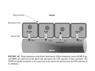 Volume of distribution (pharmacokinetics) | PPTX