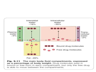 Volume of distribution (pharmacokinetics) | PPTX