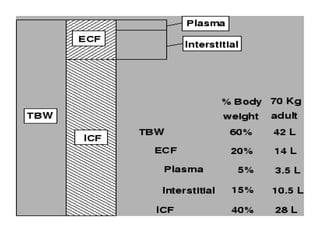 Volume of distribution (pharmacokinetics) | PPTX