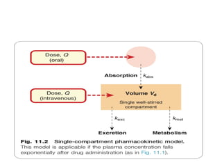 Volume of distribution (pharmacokinetics) | PPTX