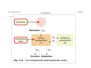 Volume of distribution (pharmacokinetics) | PPTX