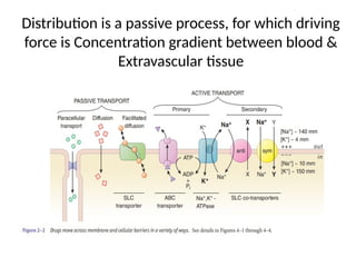 Volume of distribution (pharmacokinetics) | PPTX