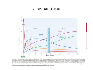 Volume of distribution (pharmacokinetics) | PPTX