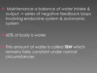 Maintenance a balance of water intake & output -> series of negative feedback loops involving endocrine system & autonomic system 60% of body is water This amount of water is called  TBW  which remains fairly constant under normal circumstances 