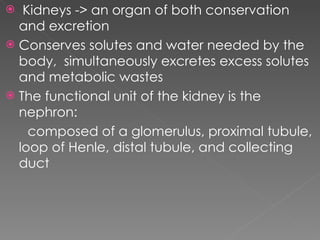 Kidneys -> an organ of both conservation and excretion Conserves solutes and water needed by the body,  simultaneously excretes excess solutes and metabolic wastes The functional unit of the kidney is the nephron:  composed of a glomerulus, proximal tubule, loop of Henle, distal tubule, and collecting duct 