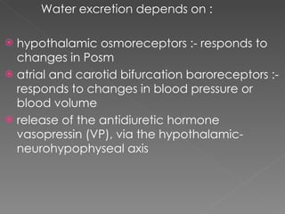 Water excretion depends on : hypothalamic osmoreceptors :- responds to changes in Posm atrial and carotid bifurcation baroreceptors :- responds to changes in blood pressure or blood volume  release of the antidiuretic hormone vasopressin (VP), via the hypothalamic-neurohypophyseal axis 