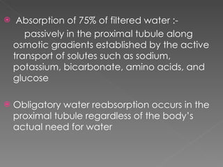 Absorption of 75% of filtered water :- passively in the proximal tubule along osmotic gradients established by the active transport of solutes such as sodium, potassium, bicarbonate, amino acids, and glucose Obligatory water reabsorption occurs in the proximal tubule regardless of the body’s actual need for water  