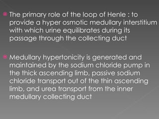 The primary role of the loop of Henle : to provide a hyper osmotic medullary interstitium with which urine equilibrates during its passage through the collecting duct Medullary hypertonicity is generated and maintained by the sodium chloride pump in the thick ascending limb, passive sodium chloride transport out of the thin ascending limb, and urea transport from the inner medullary collecting duct 
