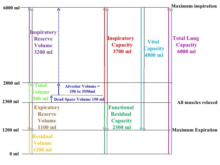 Residual Functional Capacity Chart