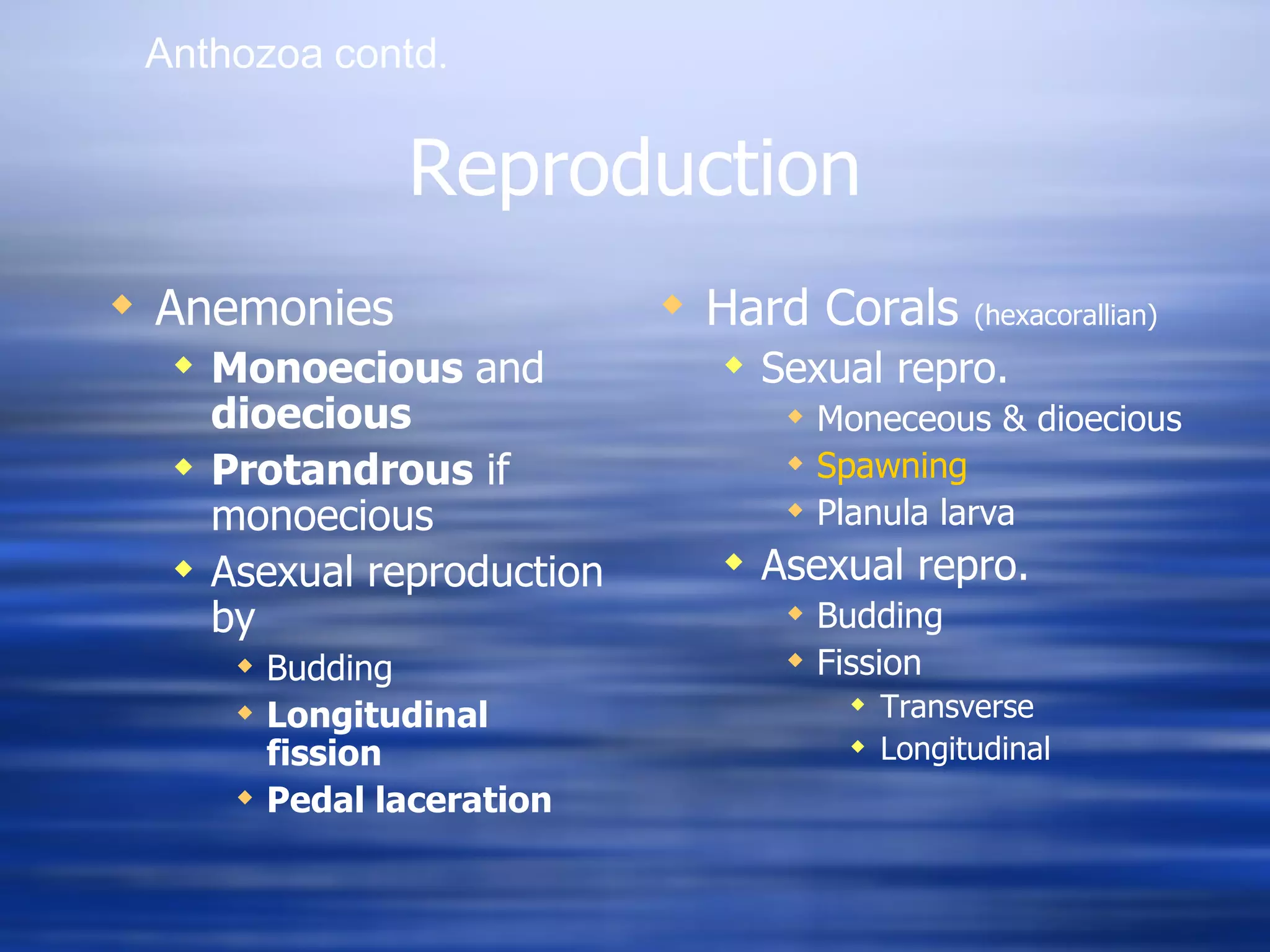 Reproduction Anemonies Monoecious  and  dioecious Protandrous  if monoecious Asexual reproduction by  Budding Longitudinal fission Pedal laceration Hard Corals  (hexacorallian) Sexual repro. Moneceous & dioecious Spawning Planula larva Asexual repro. Budding Fission Transverse Longitudinal Anthozoa   contd .  