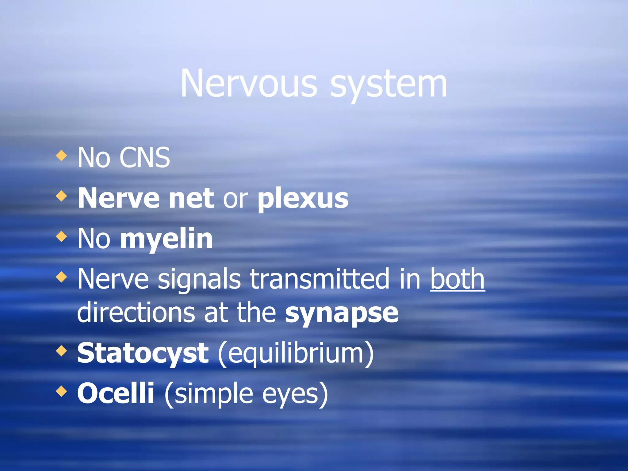 Nervous system No CNS Nerve net  or  plexus No  myelin Nerve signals transmitted in  both  directions at the  synapse Statocyst  (equilibrium) Ocelli  (simple eyes) 