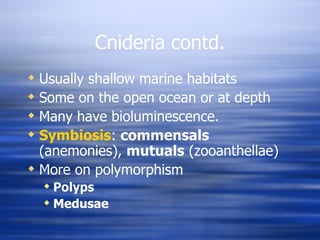 Cnideria contd. Usually shallow marine habitats Some on the open ocean or at depth Many have bioluminescence. Symbiosis :  commensals  (anemonies),  mutuals  (zooanthellae) More on polymorphism Polyps Medusae 