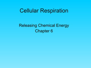 Cellular Respiration Releasing Chemical Energy Chapter 6 